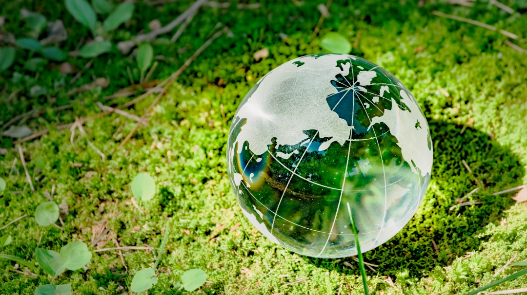 サステナビリティレポート